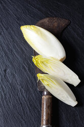 Whole and sliced chicory and an old knife on slate - CSF28037