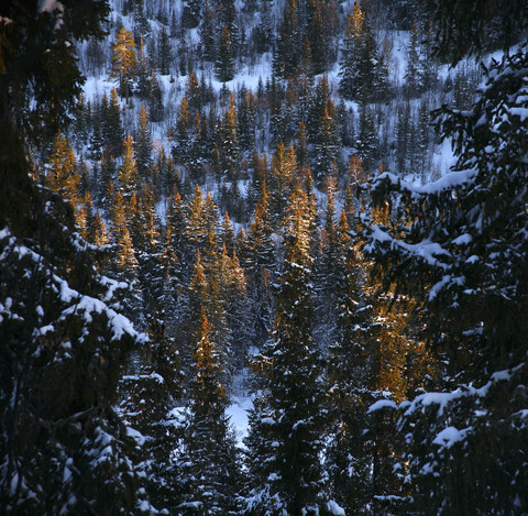 Norwegen, Telemark, Berg Gaustatoppen im Winter, lizenzfreies Stockfoto