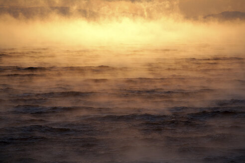 Arktischer Ozean, Dampf steigt aus der Barentssee auf - DSGF01569