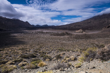 Spain, Tenerife, scenics at El Teide - SIPF01439