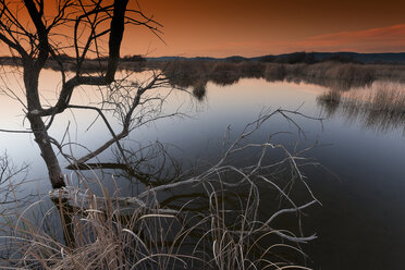 Spain, Daimiel, Tablas de Daimiel National Park - DSGF01571