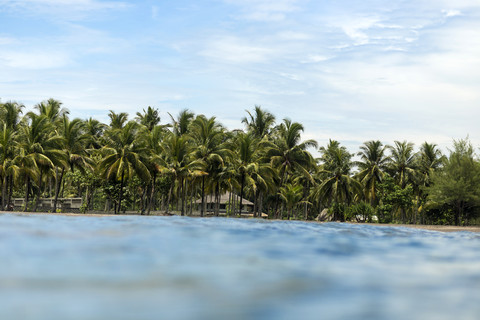 Indonesien, Java, Küstenlinie mit Palmen vom Meer aus gesehen, lizenzfreies Stockfoto