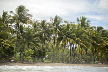 Indonesien, Java, Küstenlinie mit Palmen vom Meer aus gesehen - KNTF00732