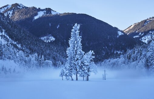 Österreich, Tirol, Karwendel, Rißtal im Winter - MRF01710