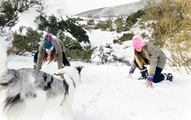Zwei Freunde spielen mit ihrem Hund im Schnee - MGOF03061