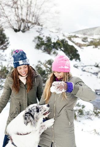 Zwei Freunde spielen mit ihrem Hund im Schnee, lizenzfreies Stockfoto