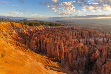 USA, Utah, Bryce Canyon National Park, Hoodoos im Amphitheater vom Rim Trail aus gesehen - FOF08978