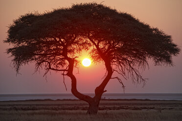 Namibia, Etosha-Nationalpark, Sonnenuntergang - DSGF01578