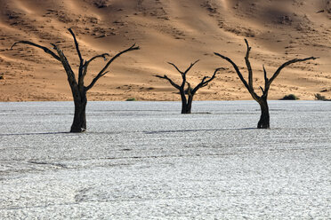 Namibia, Namib-Naukluft Park, tote Bäume im Dead Vlei - DSGF01601