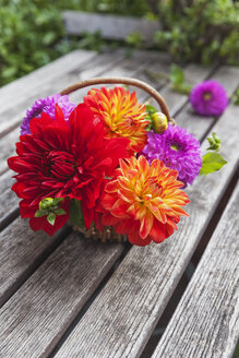 Weidenkorb mit bunten Dahlienblüten auf hölzernem Gartentisch - GWF05022