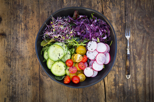 Lunch bowl of organic leaf salad, red cabbage, tomatoes, cucumber and radish sprouts - LVF05937