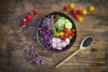 Lunch bowl of organic leaf salad, red cabbage, tomatoes, cucumber and radish sprouts - LVF05939
