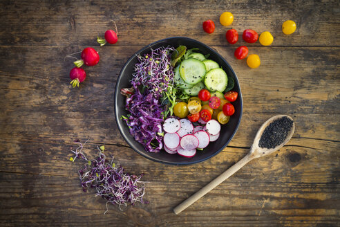 Mittagsschüssel mit Bio-Blattsalat, Rotkohl, Tomaten, Gurken und Radieschensprossen - LVF05939