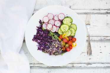 Plate of organic leaf salad, red cabbage, tomatoes, cucumber and radish sprouts - LVF05940