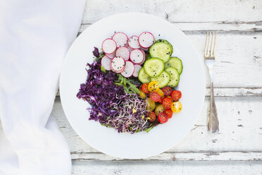 Teller mit Bio-Blattsalat, Rotkohl, Tomaten, Gurken und Radieschensprossen - LVF05940