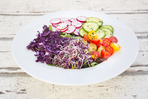 Plate of organic leaf salad, red cabbage, tomatoes, cucumber and radish sprouts - LVF05941
