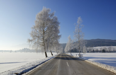 Deutschland, Sindelsdorf, leere Kreisstraße im Winter - LHF00521