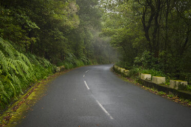 Portugal, Madeira, Bergstraße - RJF00676