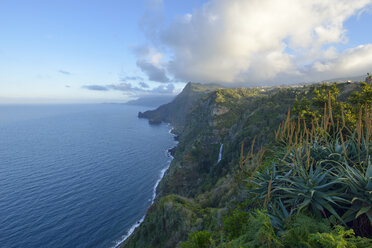 Portugal, Madeira, Steilküste bei Santana, Nordküste - RJF00677