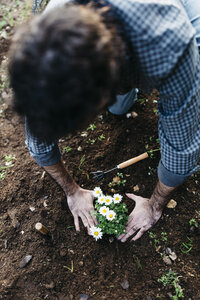 Mann pflanzt Blumen in seinem Garten - JRFF01266