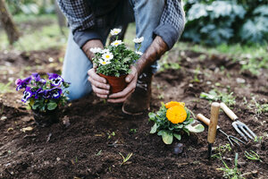 Mann pflanzt Blumen in seinem Garten - JRFF01272