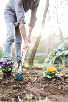 Mann pflanzt Blumen in seinem Garten - JRFF01273