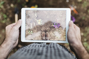 Mann fotografiert mit einer Blumentafel, die im Garten gepflanzt wurde - JRFF01281