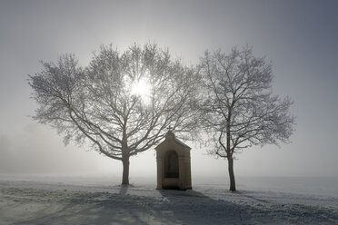 Germany, Bavaria, Pfaffenwinkel, frost at pilgrims' path to Andechs - LBF01580