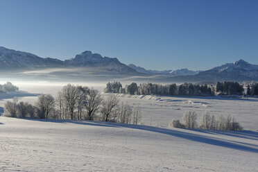 Deutschland, Bayern, Illasberg und Forggensee im Winter - LBF01585