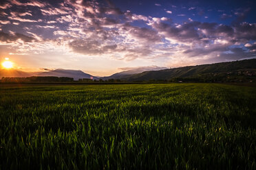 Italien, ländliche Landschaft bei Sonnenuntergang - SIPF01458