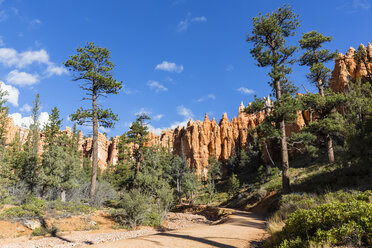 USA, Utah, Bryce Canyon National Park, Hoodoos am Navajo Loop Trail - FOF09011