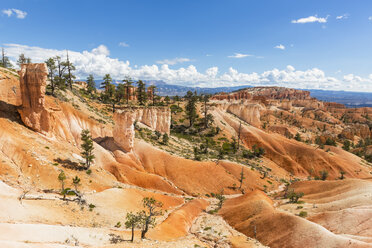 USA, Utah, Bryce Canyon National Park, Hoodoos vom Navajo Loop Trail aus gesehen - FOF09013