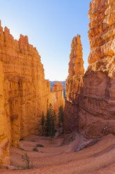 USA, Utah, Bryce Canyon National Park, Hoodoos am Navajo Loop Trail - FOF09016