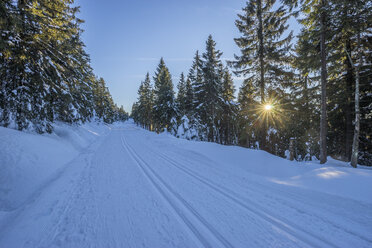 Germany, Lower Saxony, Harz National Park, cross-country ski run 'Auf dem Acker' in the evening - PVCF01024