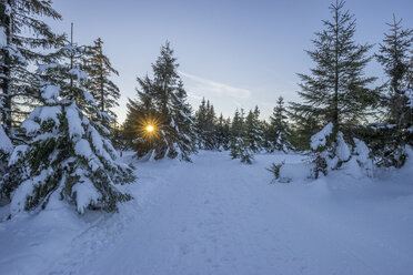 Deutschland, Niedersachsen, Nationalpark Harz, Winterlandschaft am Abend - PVCF01025