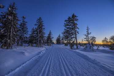 Germany, Lower Saxony, Harz National Park, cross-country ski run 'Auf dem Acker' in the evening - PVCF01027