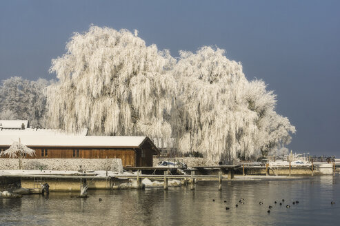 Deutschland, Bayern, Chiemsee im Winter - THAF01900