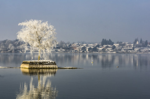 Deutschland, Bayern, einzelner Baum auf Steininsel im Chiemsee im Winter, lizenzfreies Stockfoto