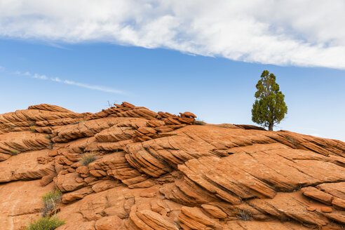 USA, Arizona, Page, Paria Canyon, Vermillion Cliffs Wilderness, Coyote Buttes, rote Steinpyramiden und Buttes - FOF09048