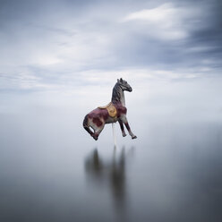 Carousel horse in a lake - XCF00153