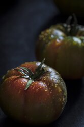 Tomaten mit Wassertropfen - YFF00659