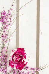 Florales Arrangement mit Rosenblüten auf weißem Holz - CMF00667