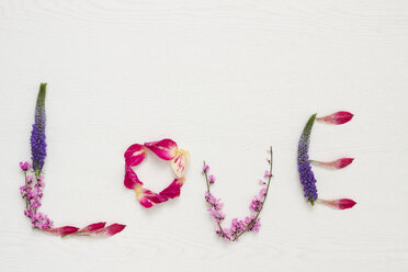 Petals shaping the word 'Love' on white ground - CMF00669