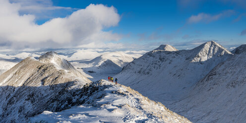 UK,Schottland, Glencoe, Buachaill Etive Beag - ALRF00882