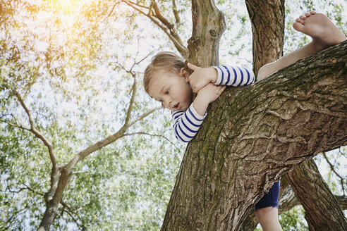 Girl climbing on a tree - RORF00688