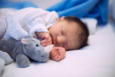 Neugeborenes Baby schläft im Bett mit einem ausgestopften Nashorn - GEMF01530