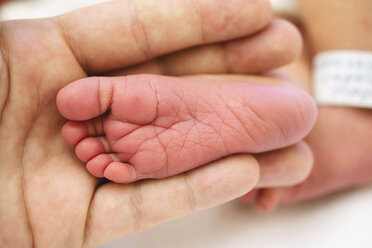 Hand holding a newborn baby foot - GEMF01533