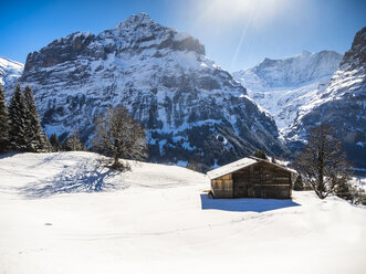 Schweiz, Kanton Bern, Grindelwald, Winterlandschaft mit Skihütte und Mittelhorn - AMF05346