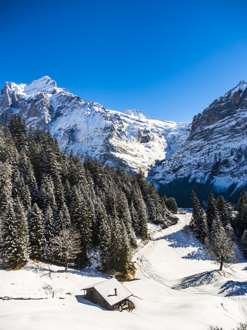 Schweiz, Kanton Bern, Grindelwald, Winterlandschaft mit Skihütte, Mittelhorn und Wetterhorn, lizenzfreies Stockfoto