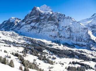 Schweiz, Kanton Bern, Grindelwald, Winterlandschaft mit Wetterhorn - AMF05348